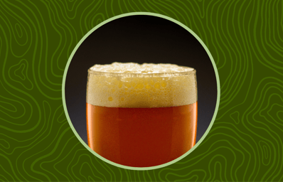 Elon Beer