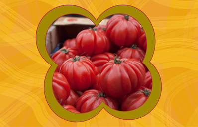 tomato sammich