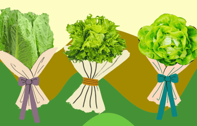 lettucebouquets