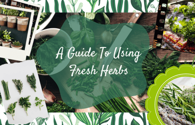 guide to herbs