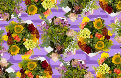 freetraderjoesflowers %281%29