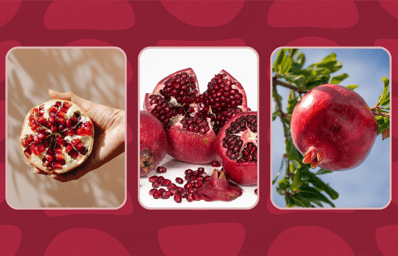 pomegranate cutting