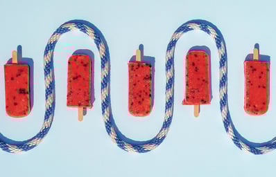 FlavorsFarm PALETAS