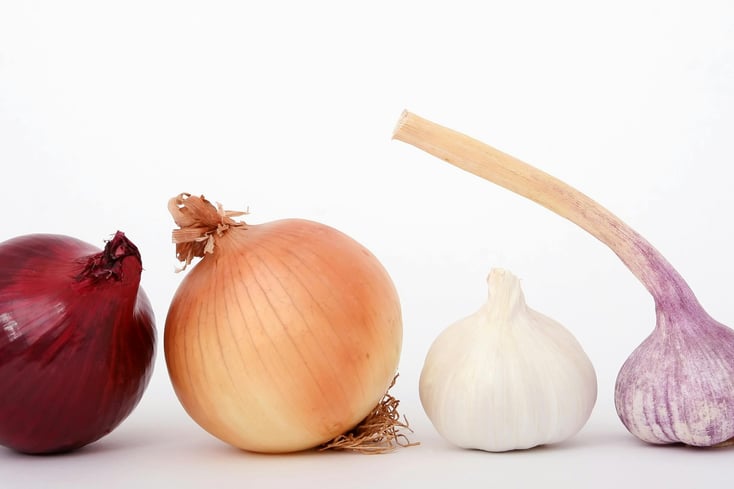 bulb closeup close up clove 159250