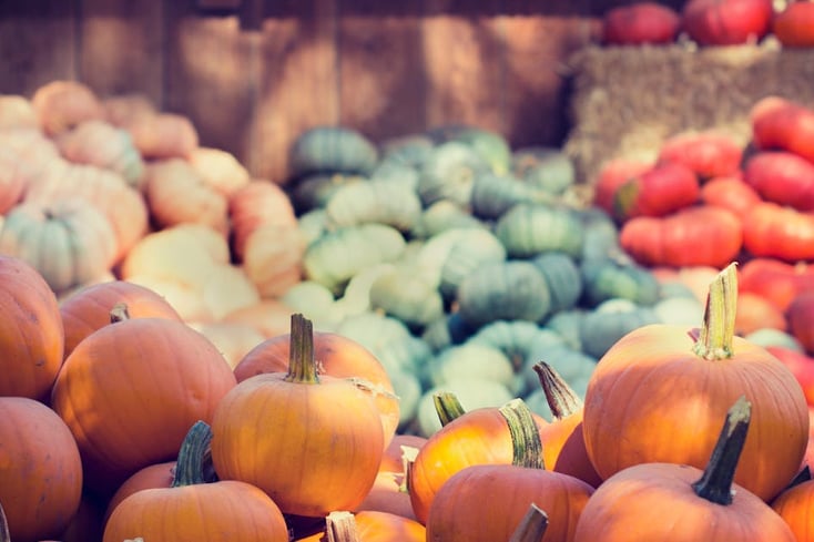 A Winter Guide To Seasonal Produce (And How To Use It) 2 pexels photo 383605