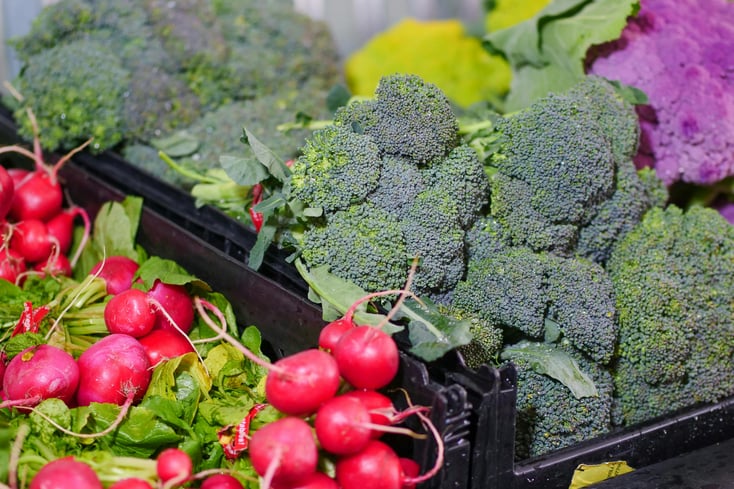 pexels photo 7456527