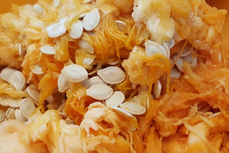 5 Uses for Pumpkin Seeds Left Behind From Your Jack-O-Lanterns 5 photo 1447903196606 76e102ef24f9?ixlib=rb 0.3