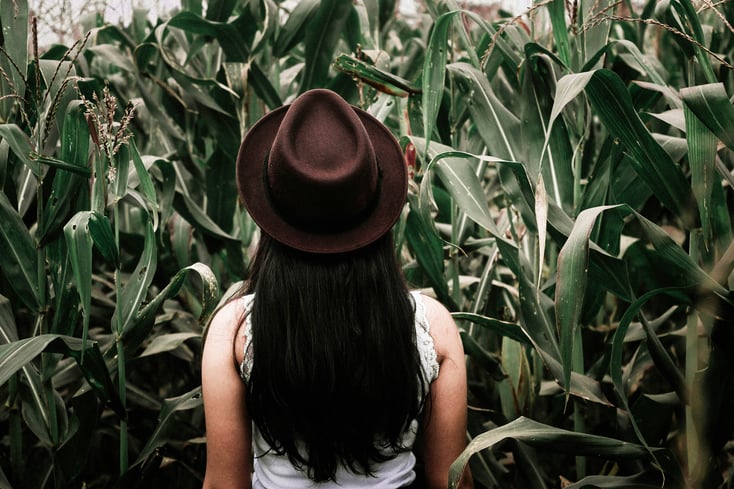 photo 1467615089689 3ee02096e0f7?ixlib=rb 0.3