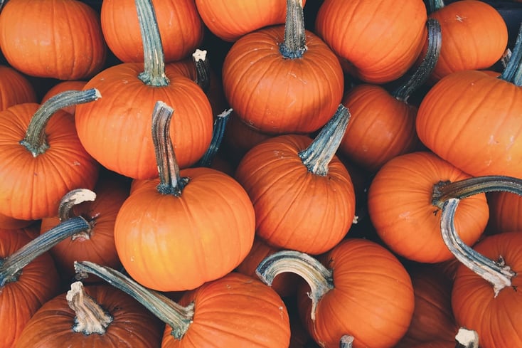 What Pumpkin Spice Product You Are, Based on Your Zodiac Sign 3 photo 1474591424615 7fe467c7fac9?ixlib=rb 0.3