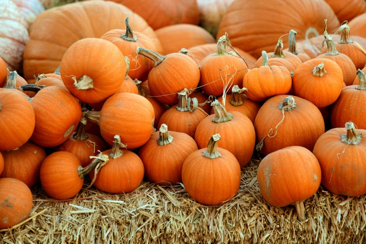 photo 1508298593117 02b95f83abca?ixlib=rb 0.3