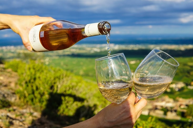 7 Rosé Recipes to Brighten Up Your Summer 10 photo 1508471608746 b7f6b8a5b0b0?ixlib=rb 0.3