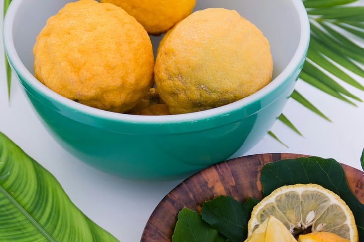 photo 1516148386536 d062f6f5a0f2?ixlib=rb 0.3