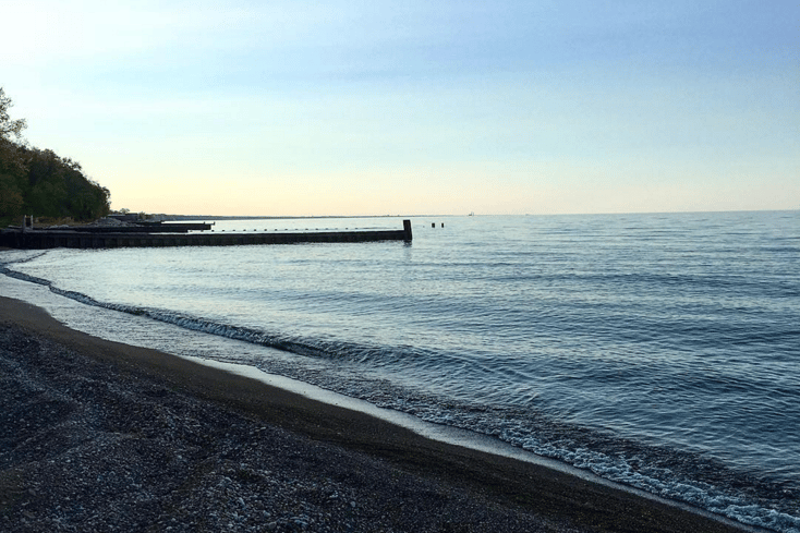 Shore Scape