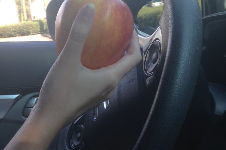 edited eating while driving photo lindsey