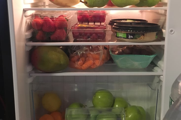 fridge 1