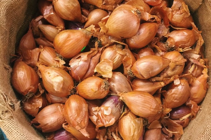 Shallots