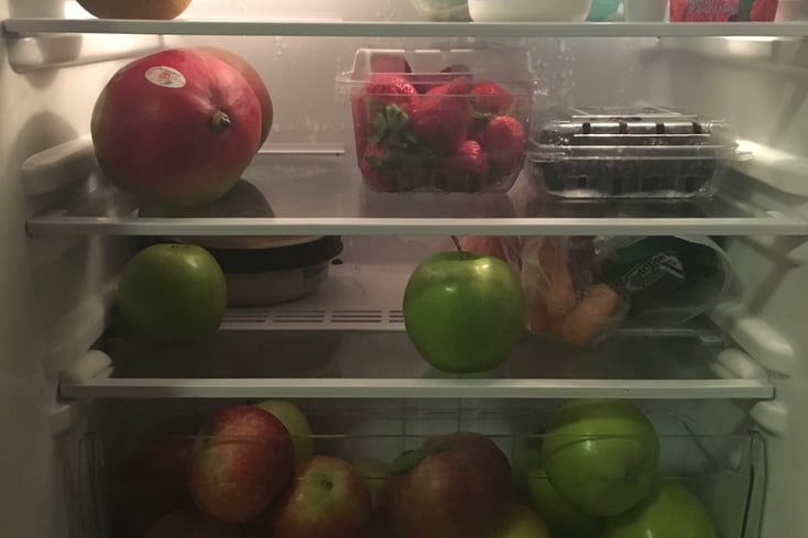 fridge 7