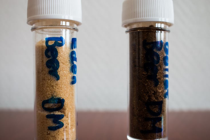 powdered beer tubes