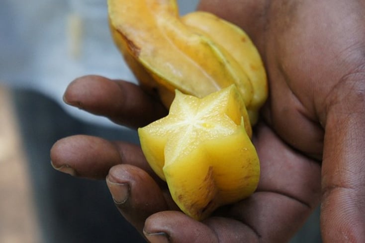 starfruit 230206 640