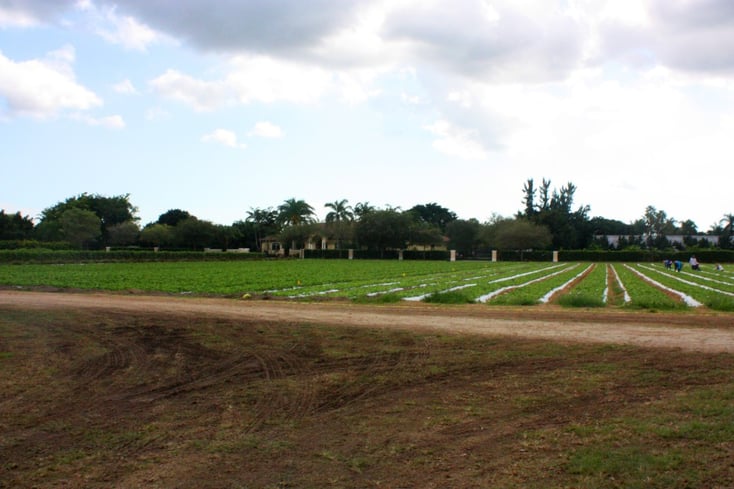 farm