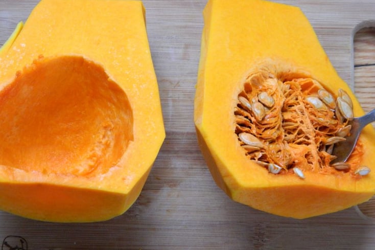 SquashScoopSeeds copy