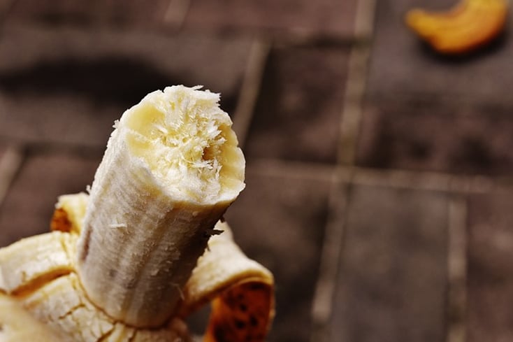 bananas 1735078 640
