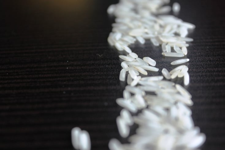 rice grains