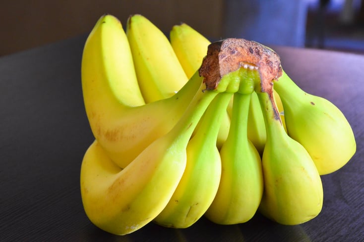 banana bunch 3 JOCELYN HSU