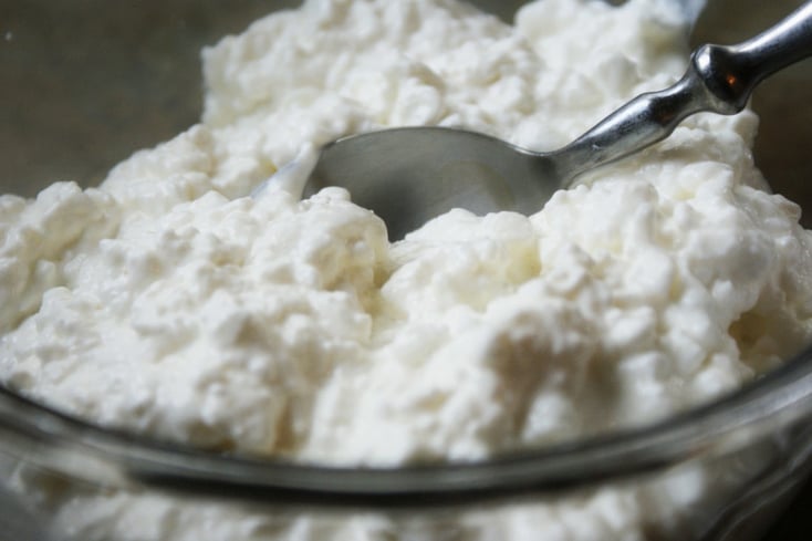 cottage cheese image e1461555671821