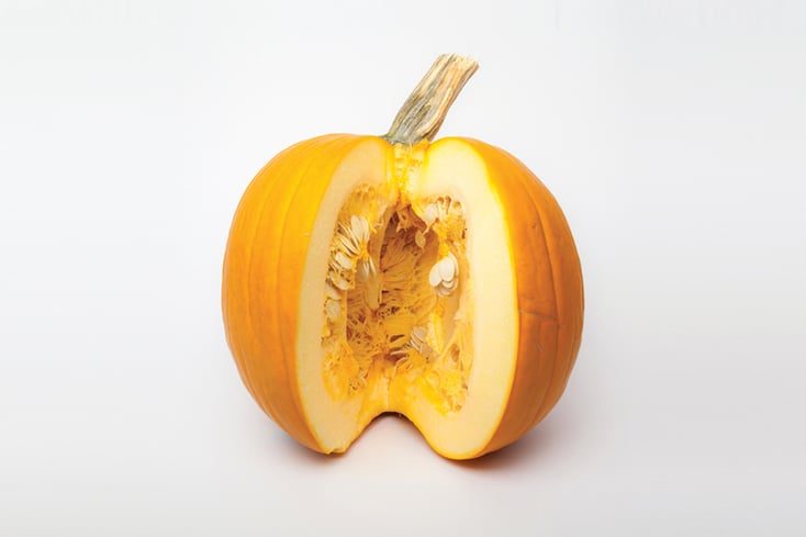 02 pumpkin