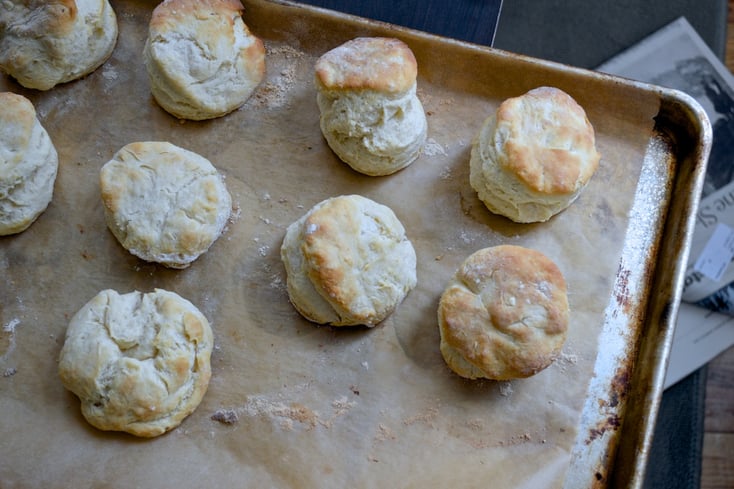 Bacon Biscuits 1