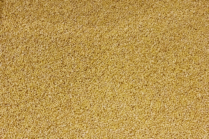 Millet 11