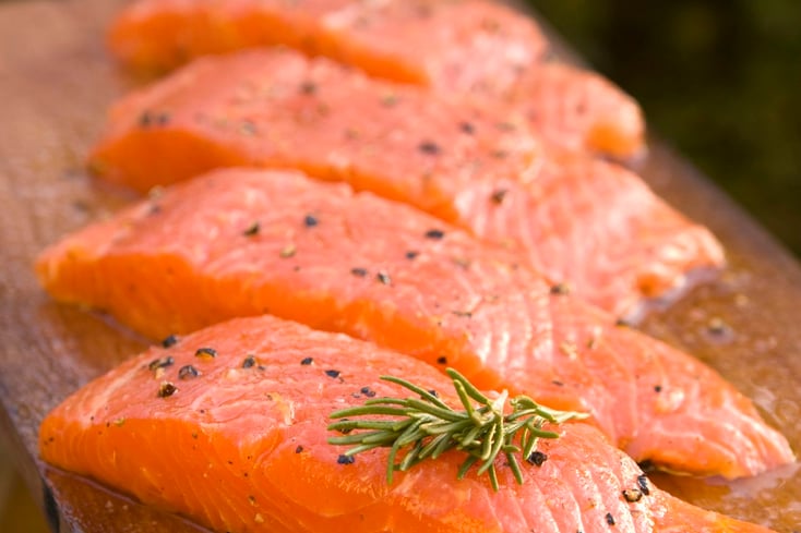 Salmon Fillets CREDIT AquaBounty
