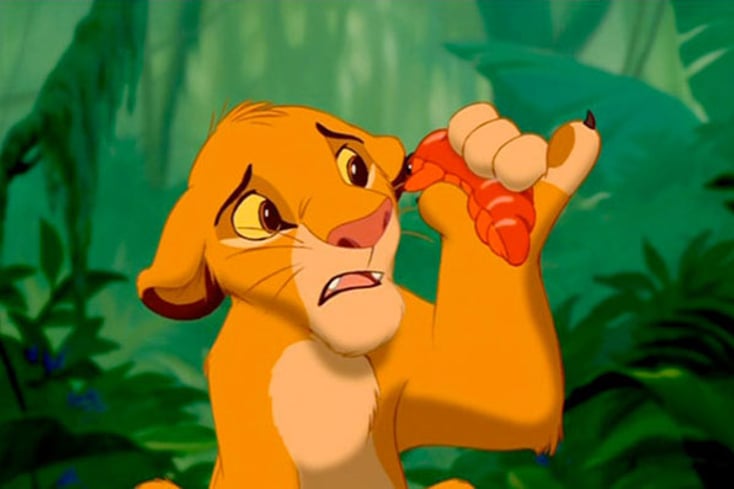 Simba tries some new food