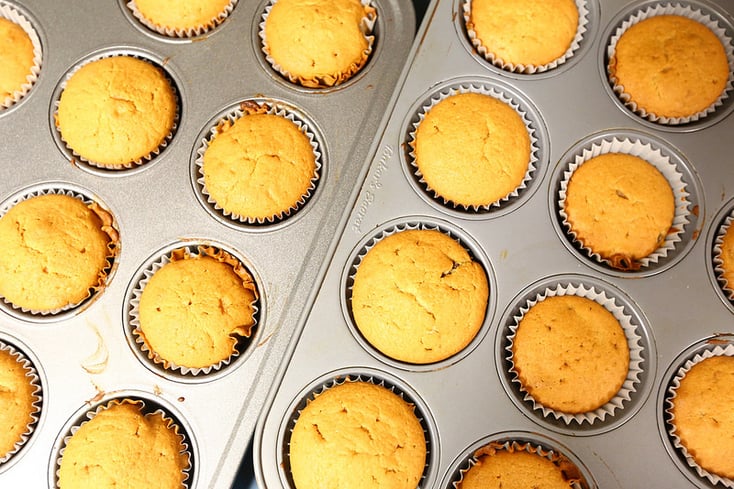 chocochip cupcakes
