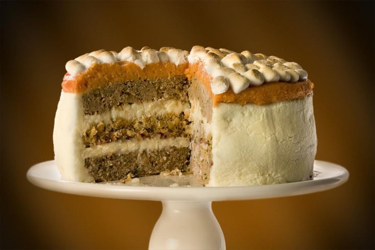 29029 RES turkey cake1