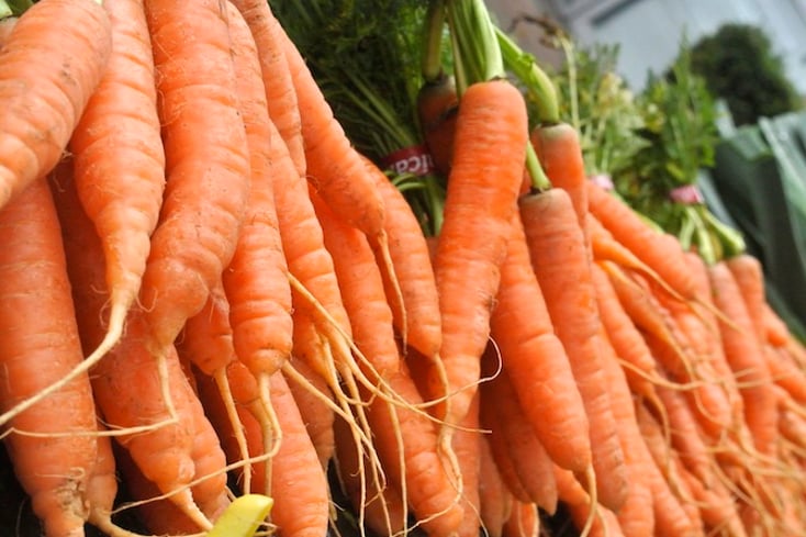 carrots