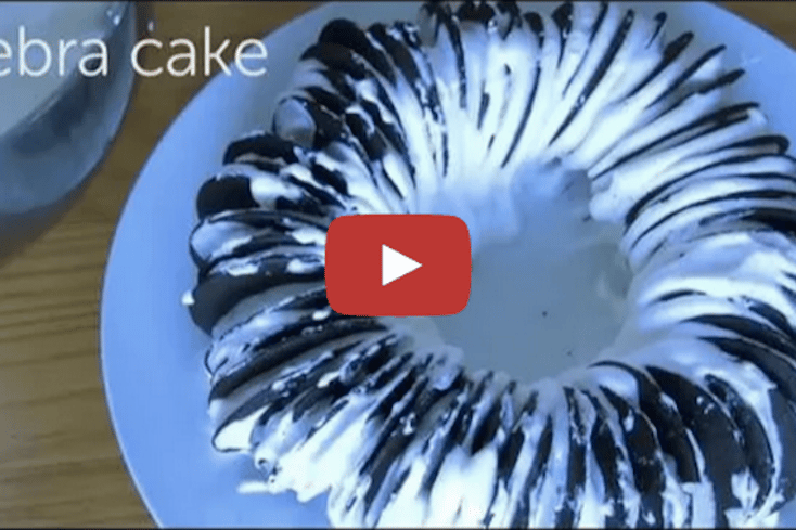 Zebra Cake Youtube Pic