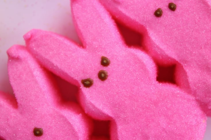 Peeps Katherine Baker 9