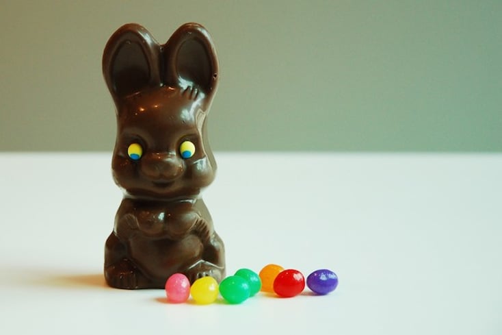 hollow bunny