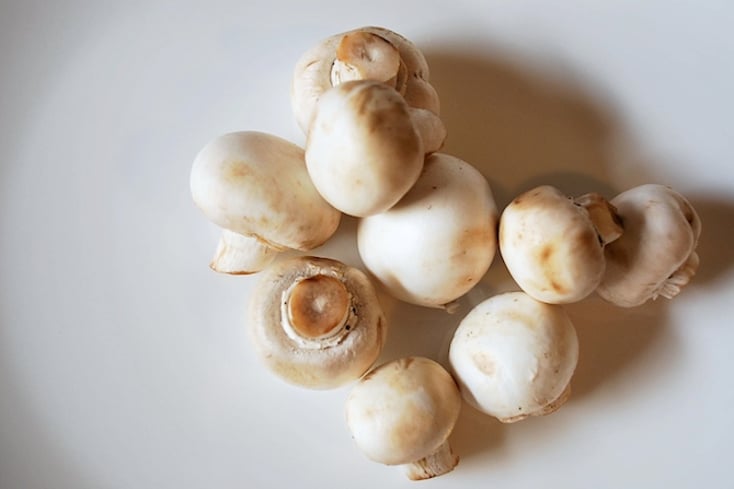 Shrooms