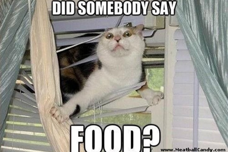 did somebody say