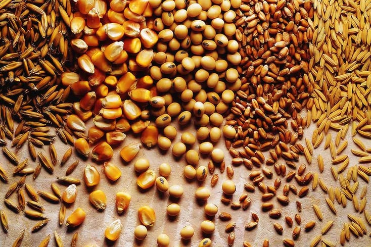 grains