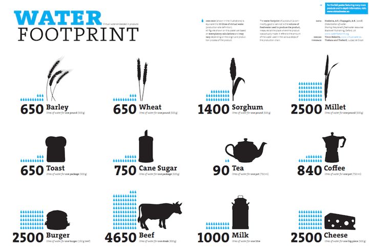water footprint