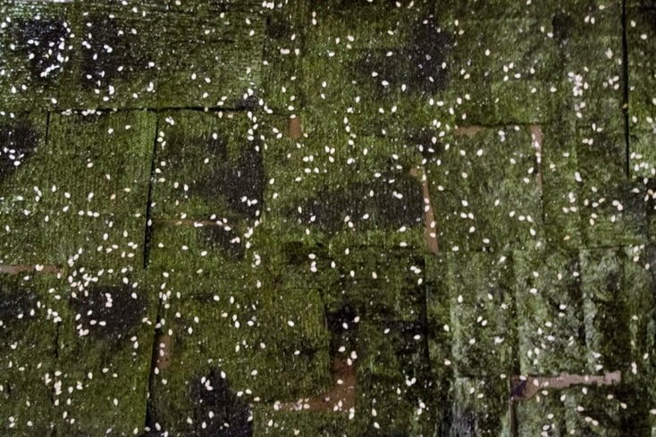 2seaweed sheets 2