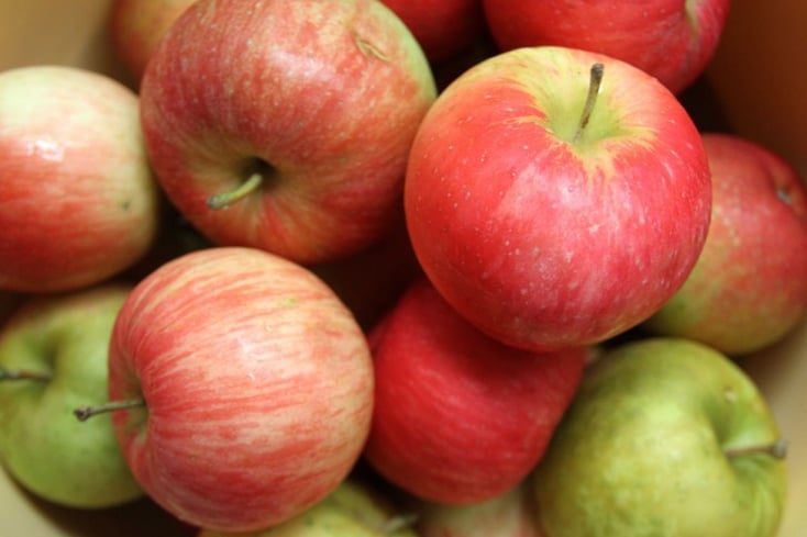 Produce Maggie Gorman