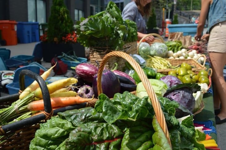 McGill Farmers Market e1441147547850