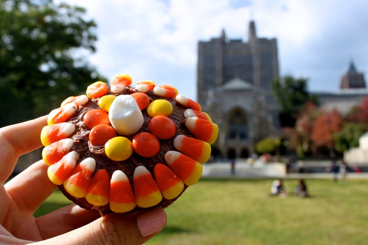 donut sterling