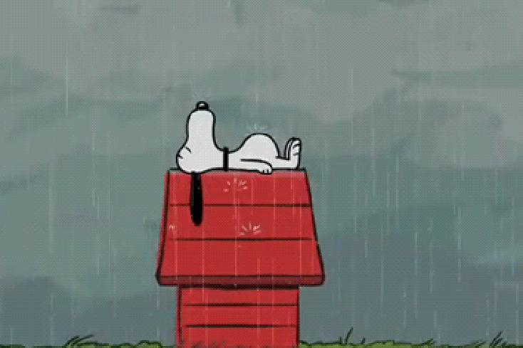 rainy sleepy snoopy peanuts