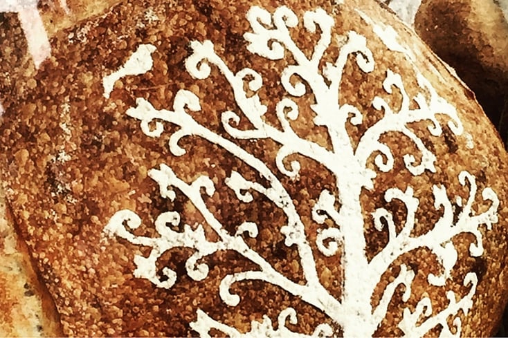 Stella Bread Canva